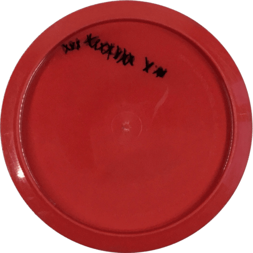Innova Gstar Thunderbird - Image 2